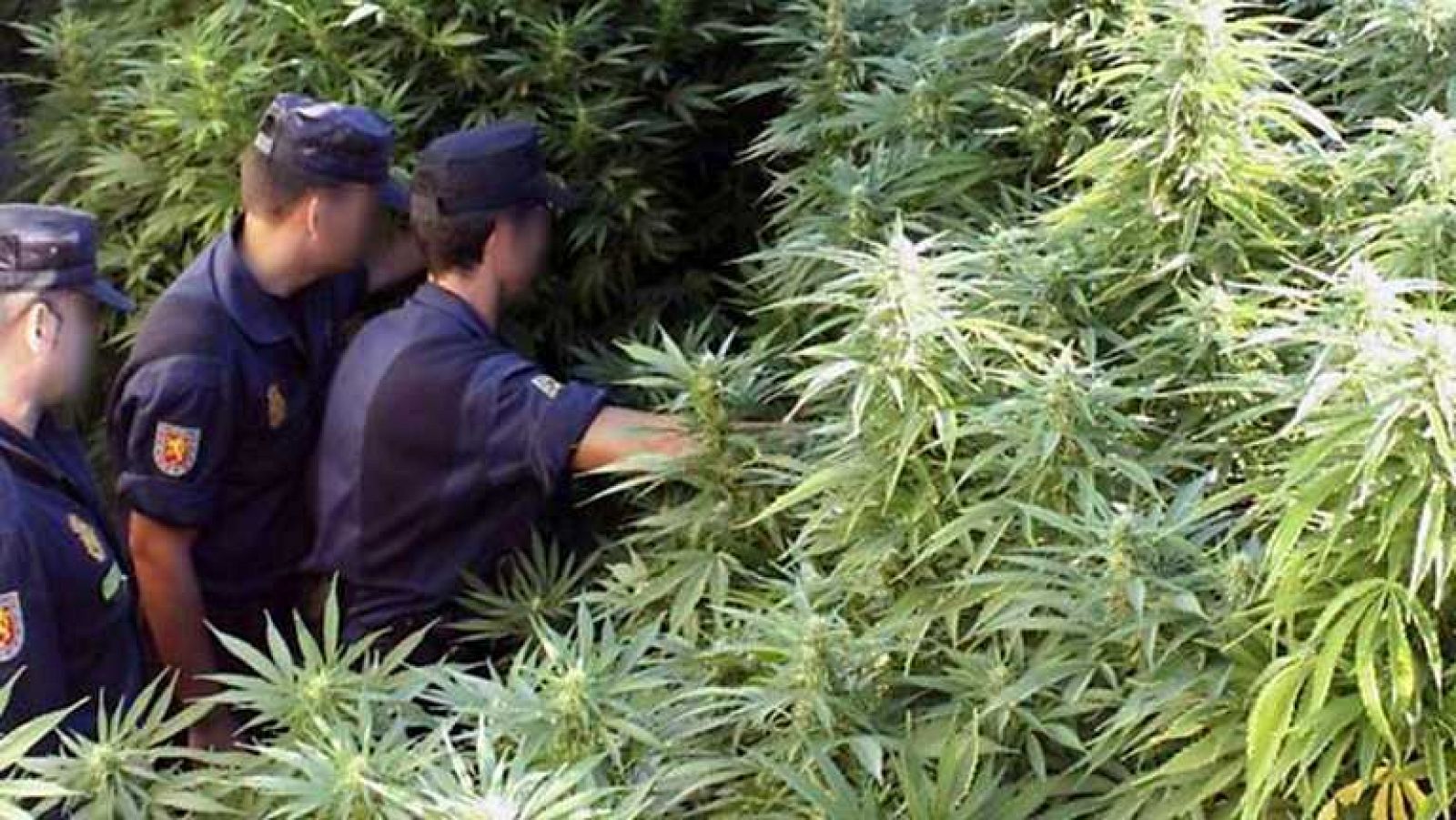 24 horas en la calle - 14/11/13 - ver ahora