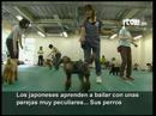  - Curiosas parejas de baile