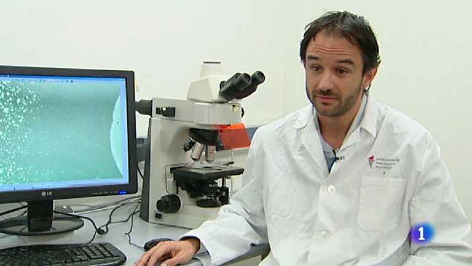 L'Informatiu - Comunitat Valenciana - 15/11/13 - Ver ahora