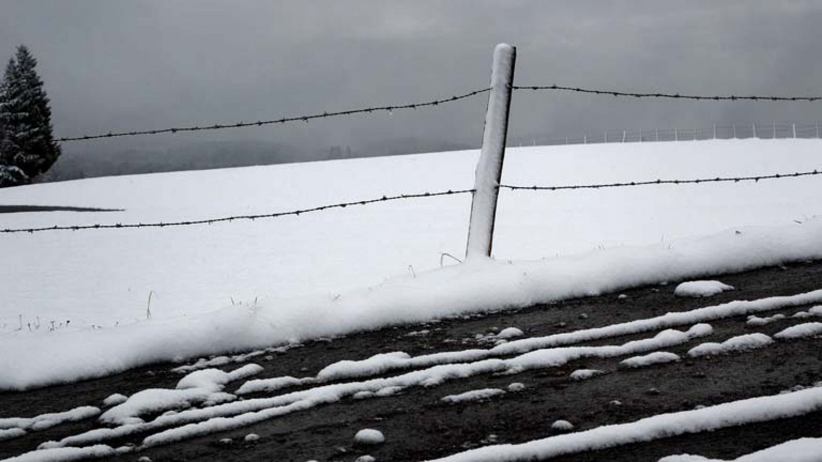 Telediario 1: Alertas por nieve | RTVE Play