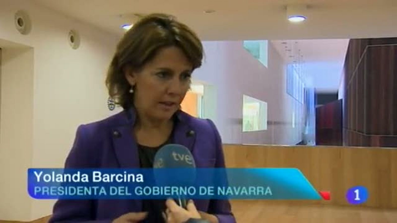 Telenavarra 2 - 15/11/2013 | Ver