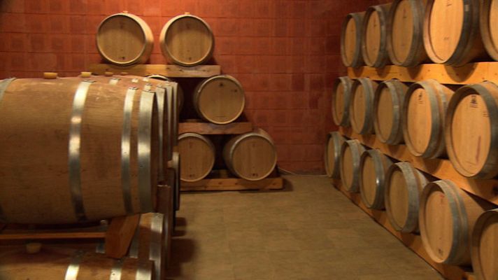 Entre vinyes - Denominació d'Origen Priorat