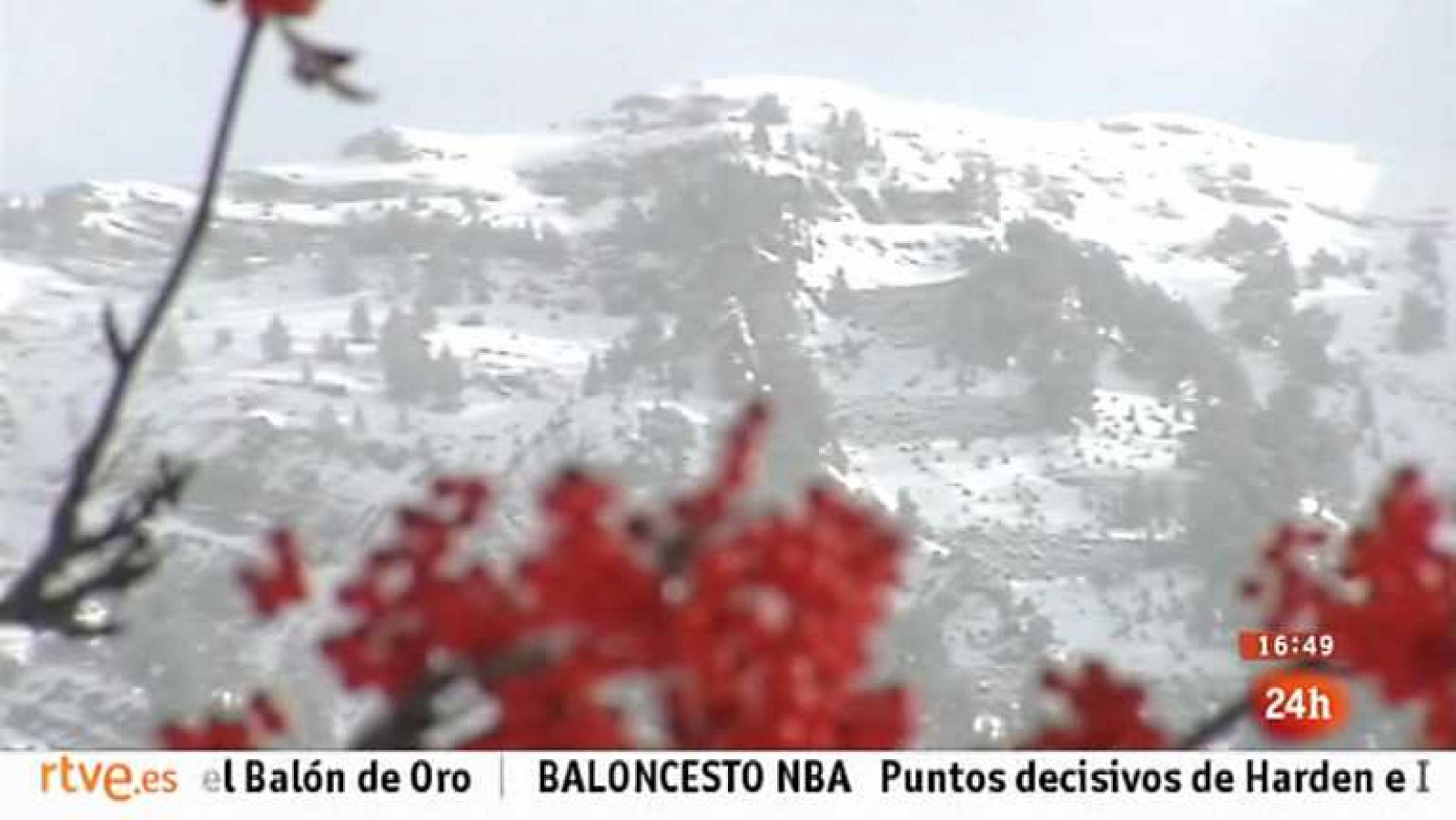 España en 24 horas - 15/11/13 - Ver ahora