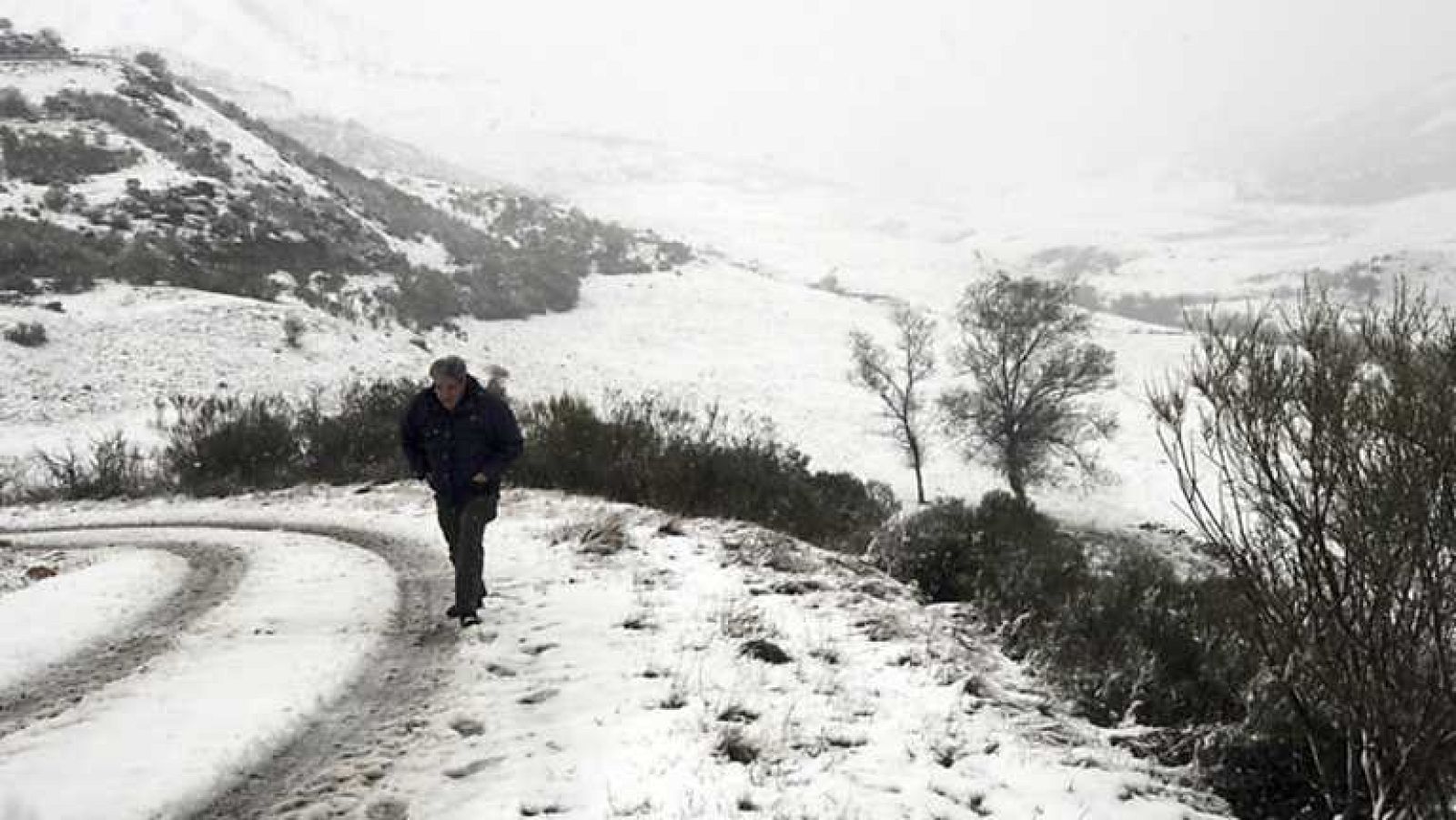 La tarde en 24 horas - Bloque 18 h. - 15/11/13 - Ver ahora