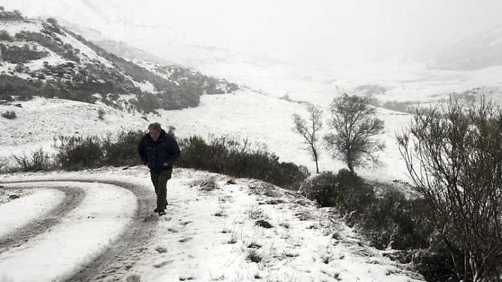 La tarde en 24h - Bloque 18 horas - 15/11/13