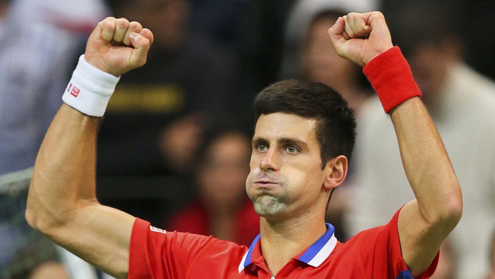 Djokovic adelanta a Serbia y Berdych pone las tablas
