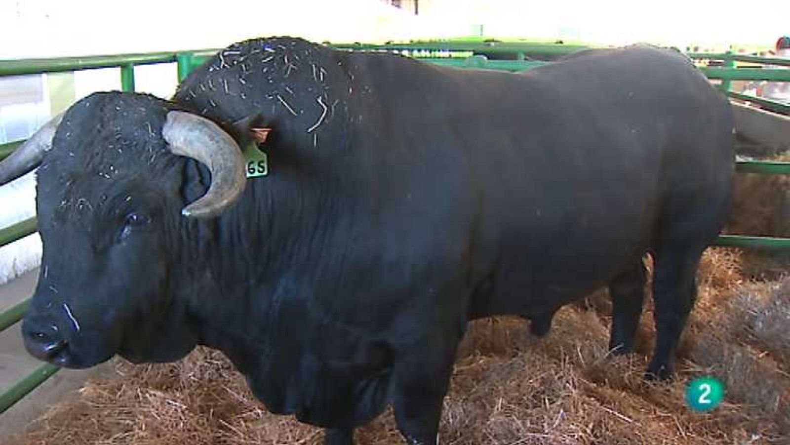 Agrosfera - 16/11/13 - ver ahora