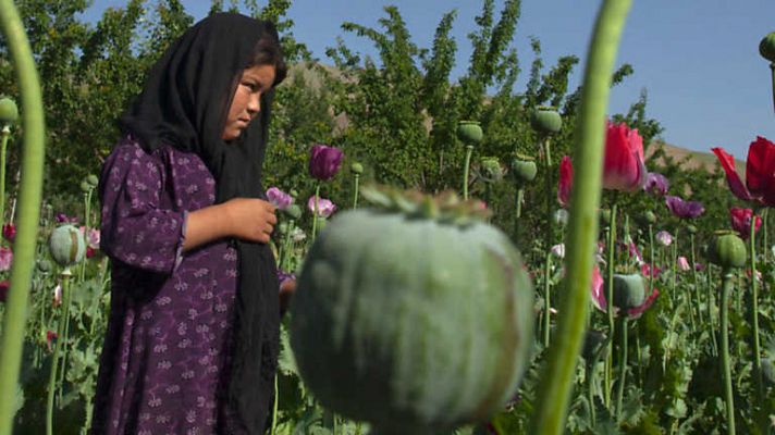 La noche temática - Las novias del opio