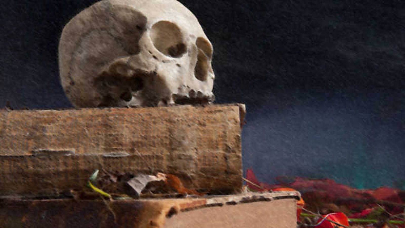 Viaje al interior de la cultura - 17/11/13 - Ver ahora