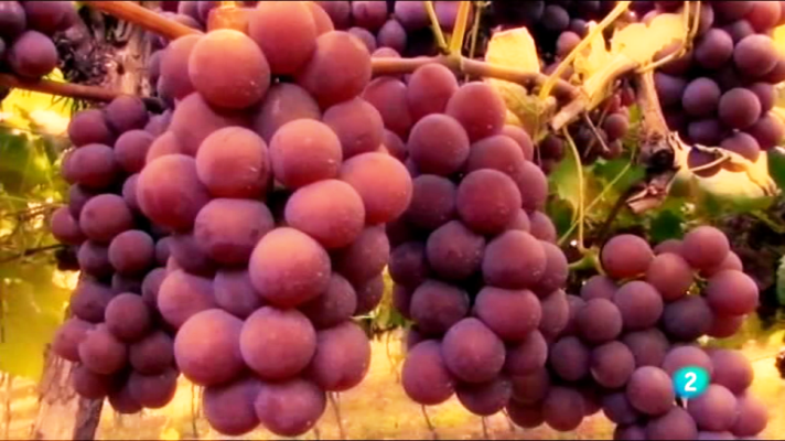 Fábrica de ideas - Proyecto Revidox