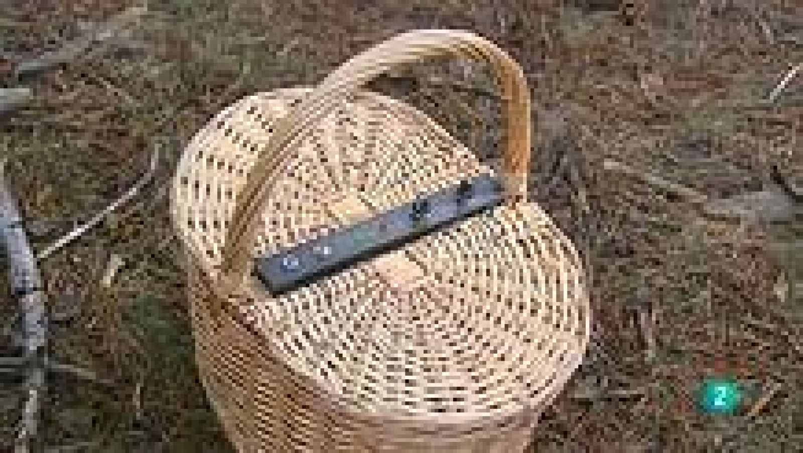 Agrosfera - Laboratorio de ideas - Cesta eco-micológica