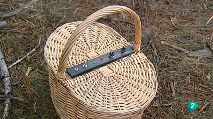 Agrosfera - Cesta micológica