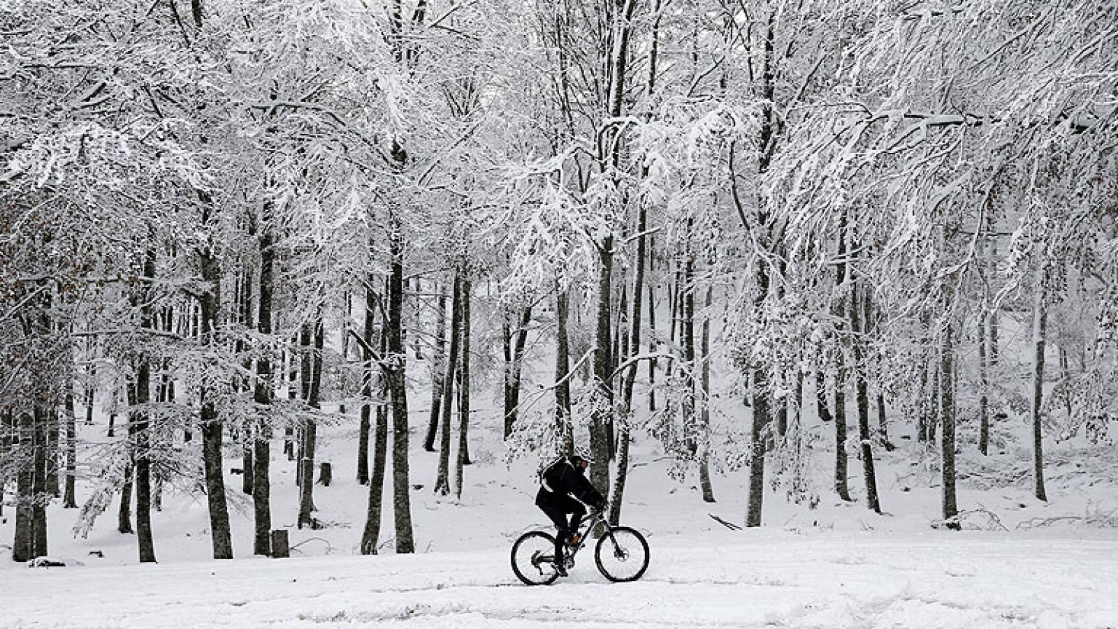 Telediario 1: Día de lluvias, viento y nieves | RTVE Play