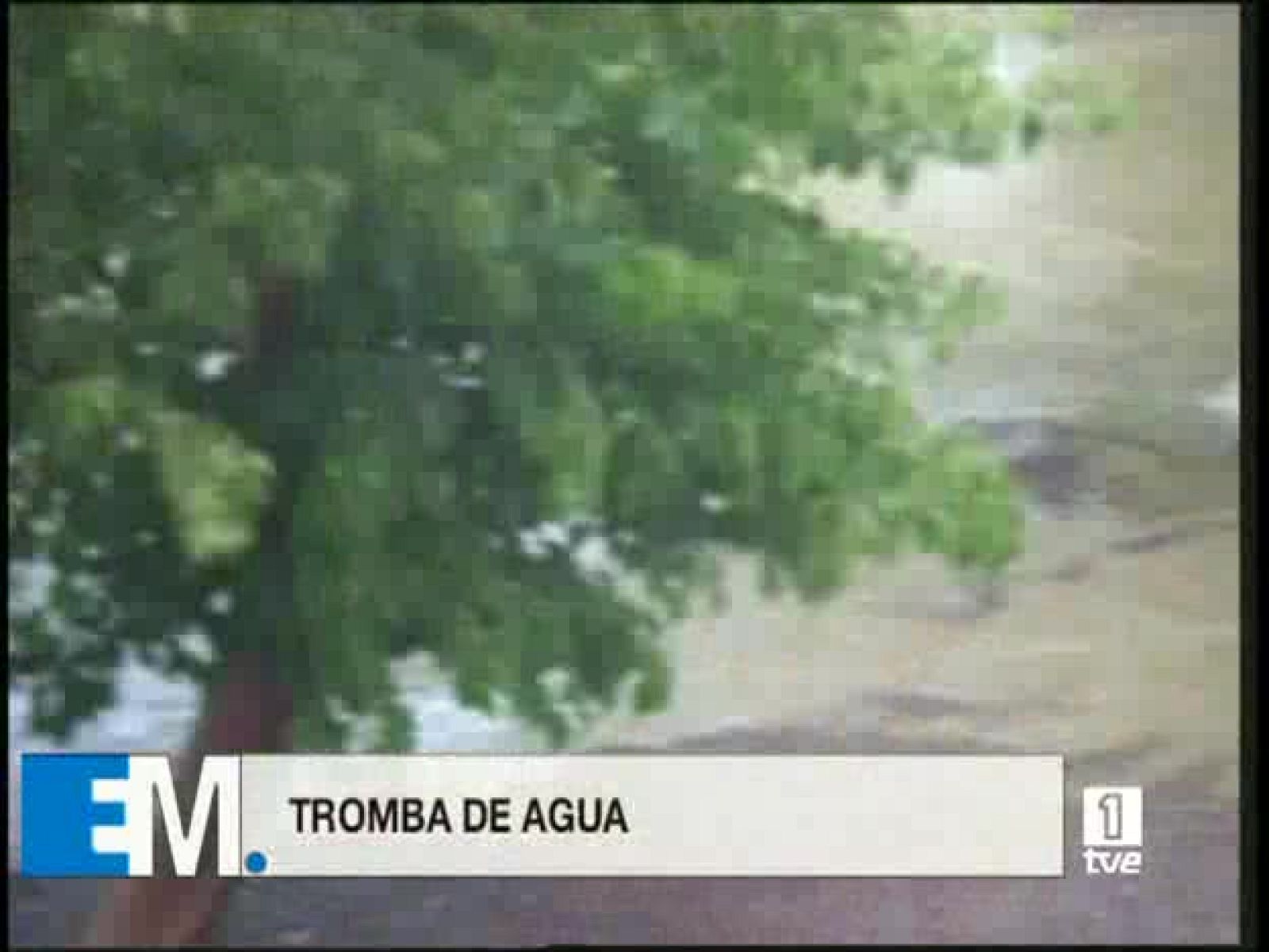 Esta mañana de verano - 15/07/08