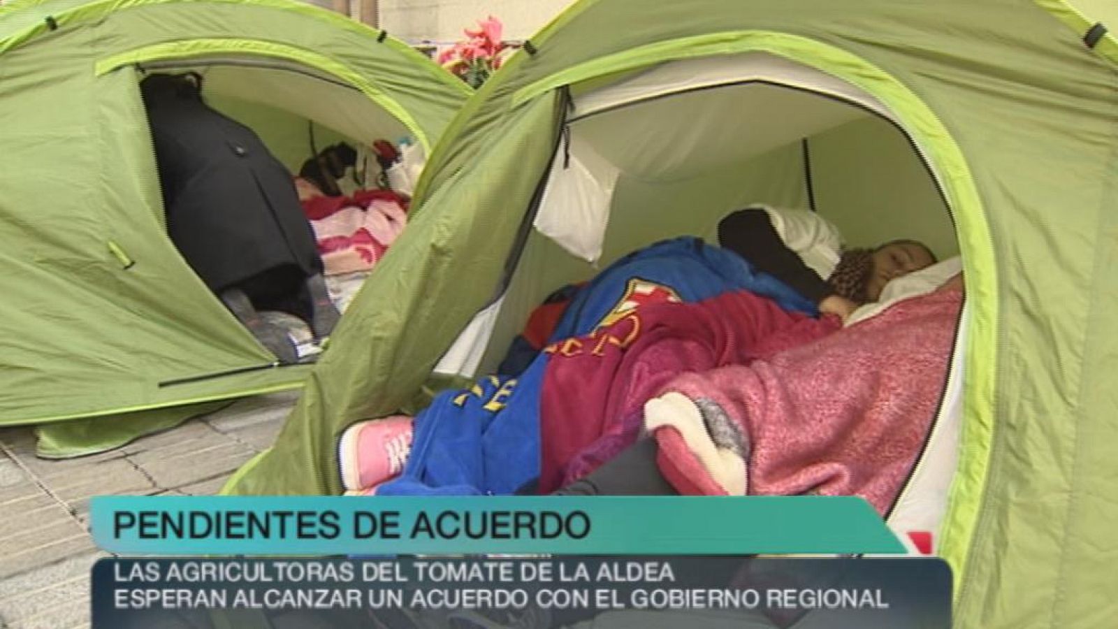 + Canarias - 19/11/13 - +Canarias | Ver