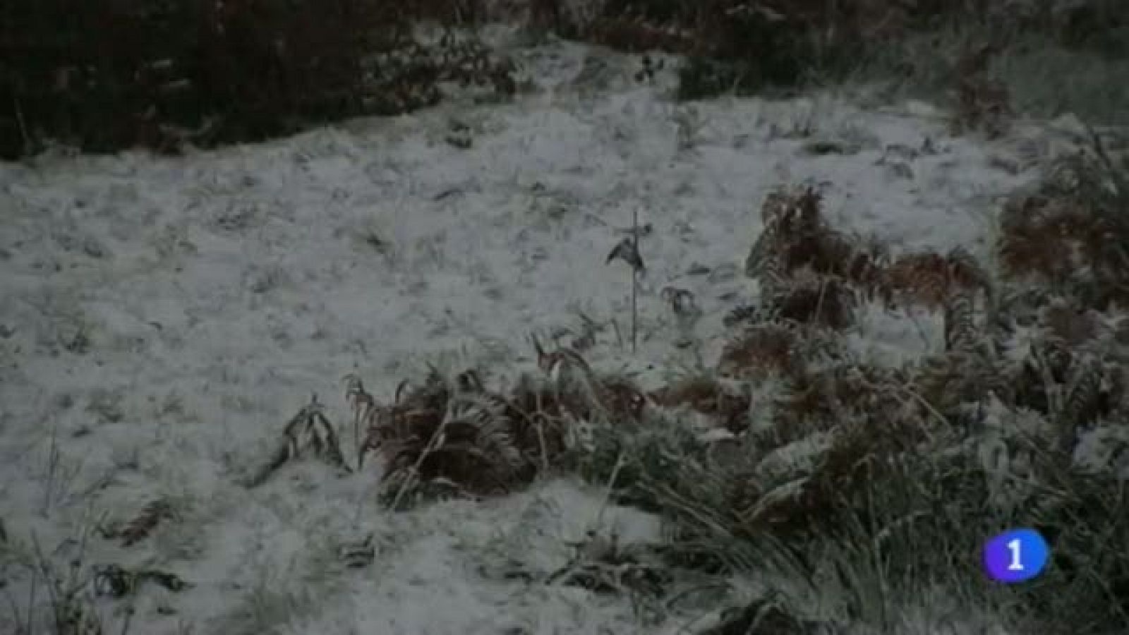 Telenavarra en 2' - 20/11/2013 | Ver