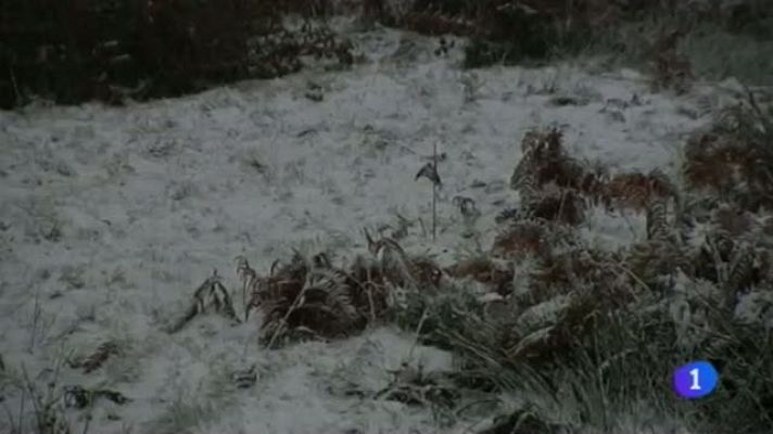 Telenavarra - Telenavarra en 2' - 20/11/2013