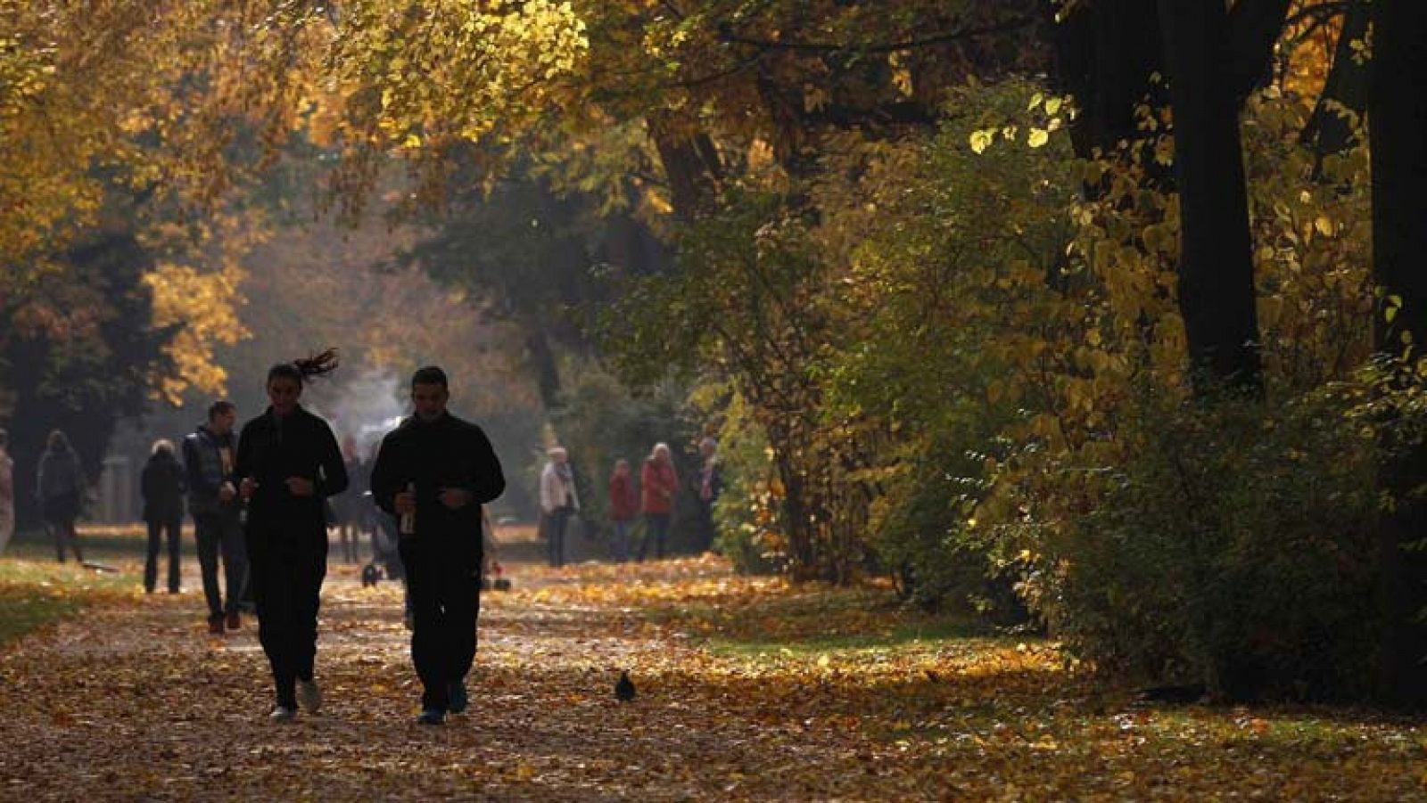 El tiempo en la Comunidad de Madrid ¿ 21/11/13