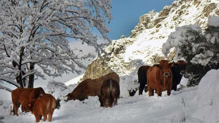 Chubascos y viento fuerte en Baleares, nevadas en el extremo norte