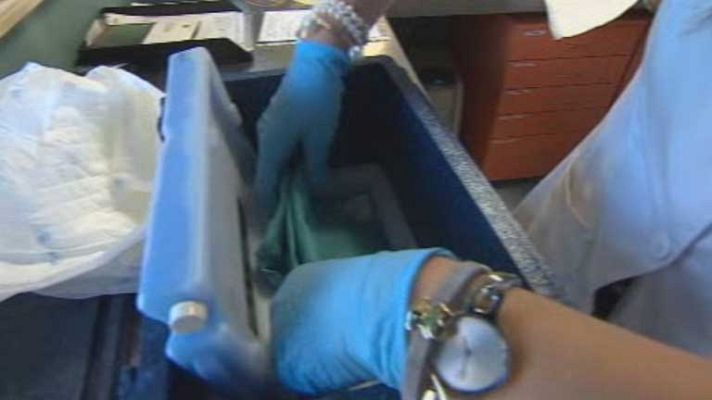 Telediario 1 - Trasplantes de médula ósea