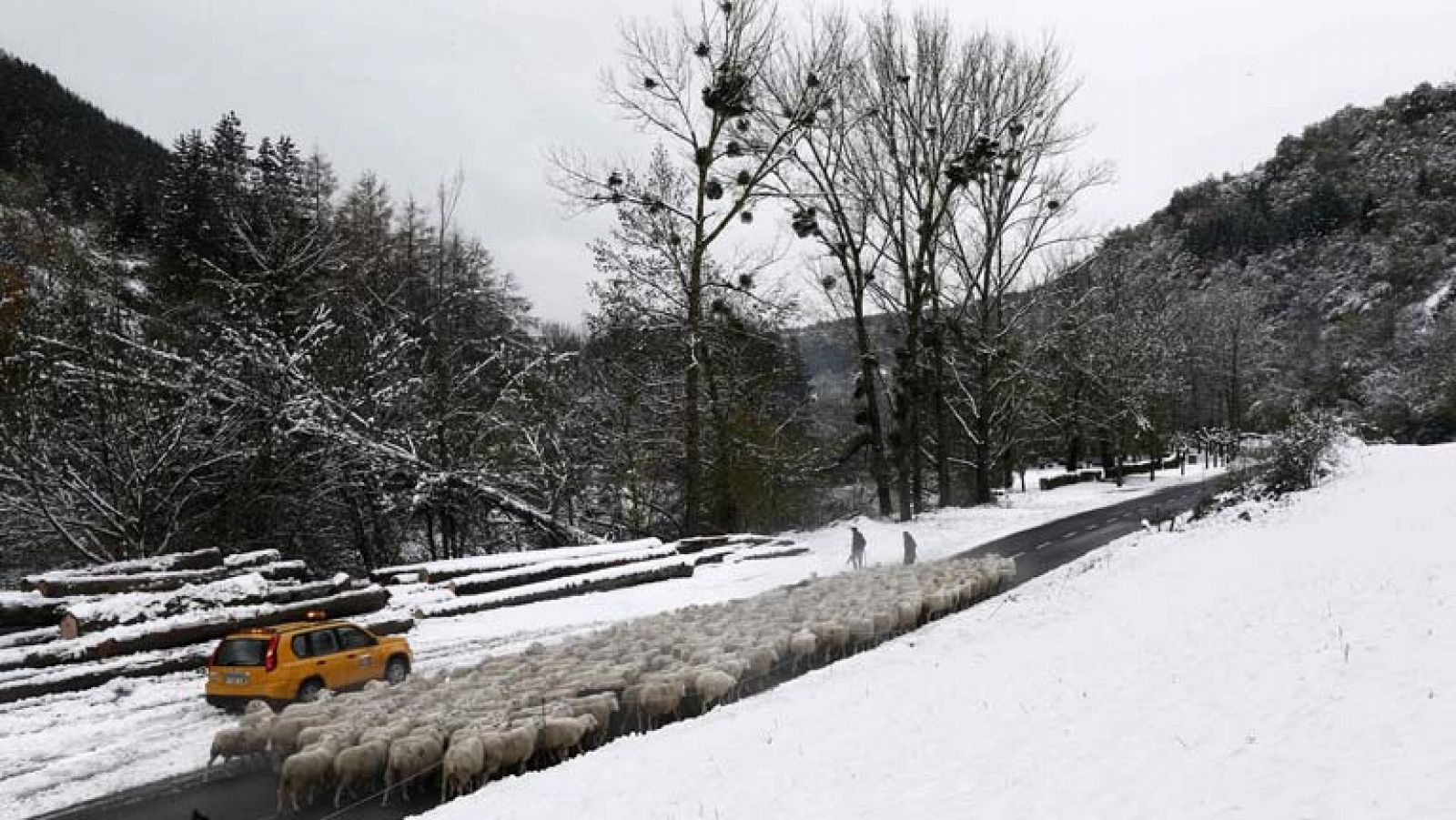 El tiempo: Nieve a partir de 400 metros y temperaturas sin cambios notables | RTVE Play