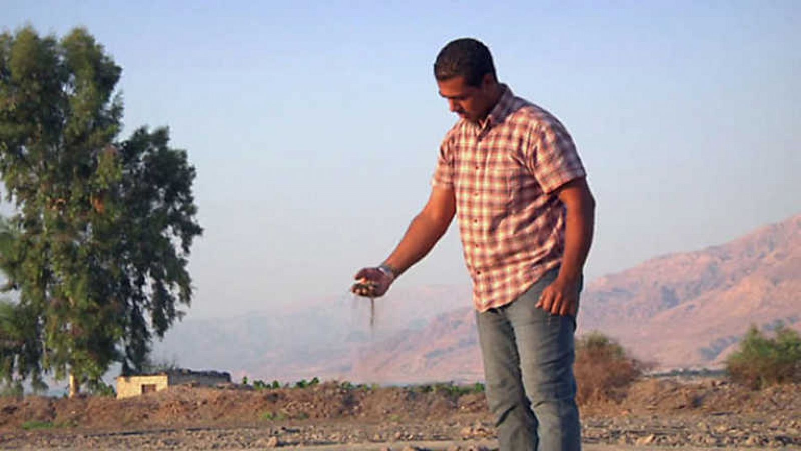 El escarabajo verde - Joussour 2 - ver ahora