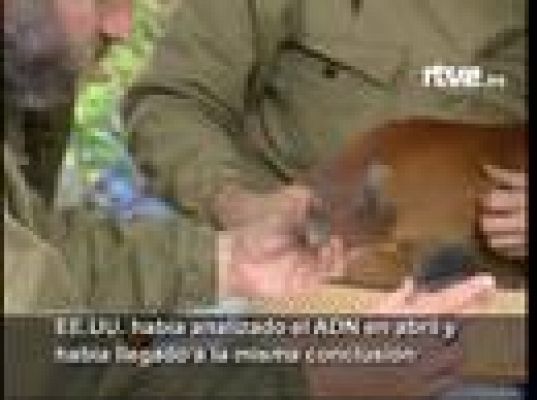  - El descanso de los Romanov