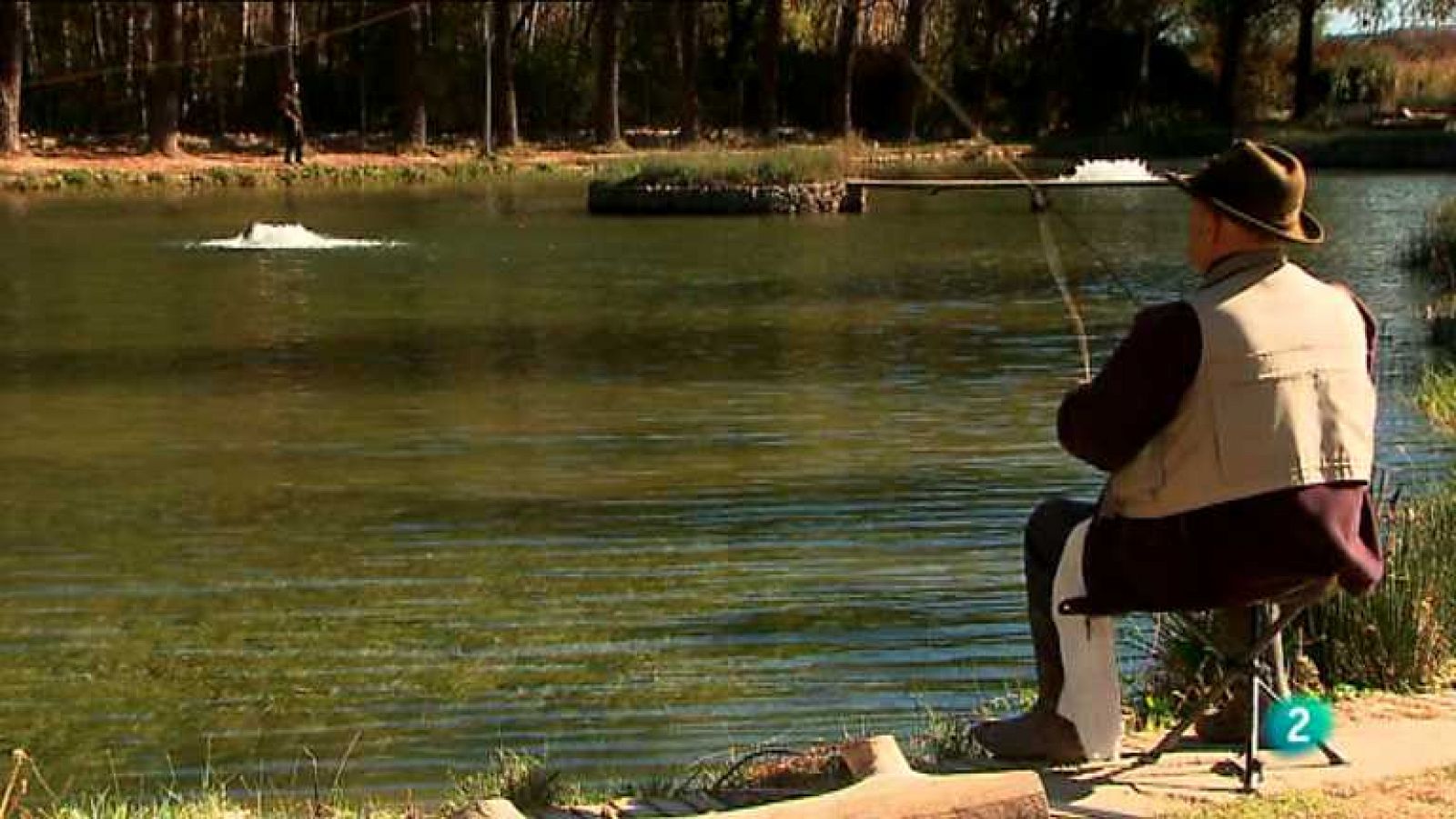 Agrosfera - 23/11/13 - ver ahora