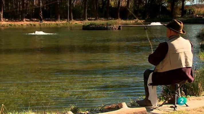 Agrosfera - Agrosfera - 23/11/13