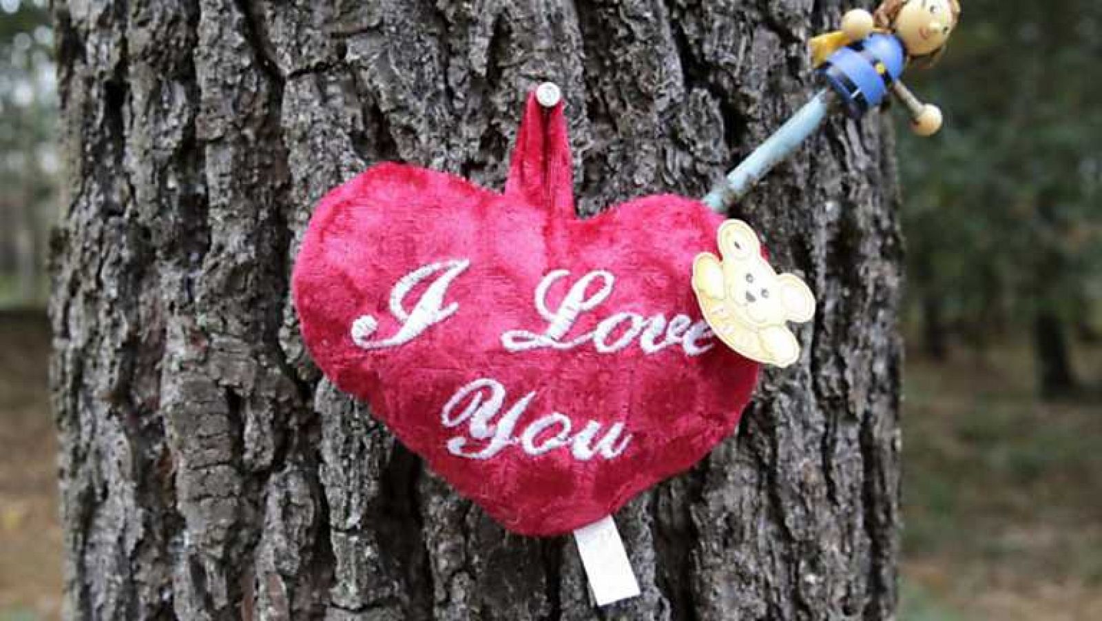 Informe Semanal - Caso Asunta, sumario abierto - Ver ahora