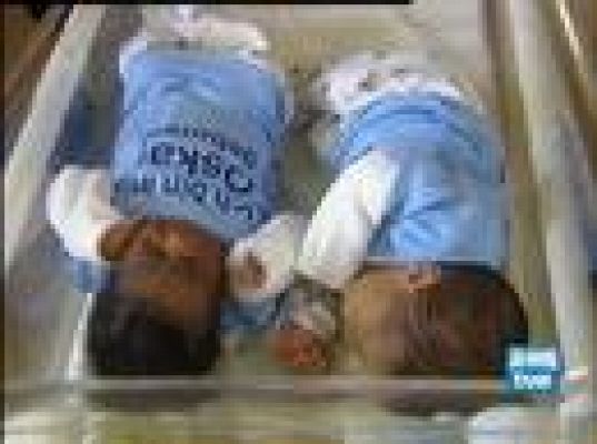  - Milagro de la naturaleza