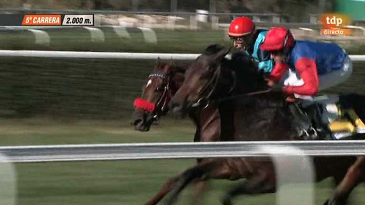 Turf - Turf - 24/11/13