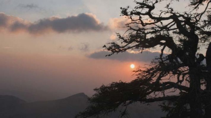 Informativo de Madrid - El tiempo en la Comunidad de Madrid - 25/11/13