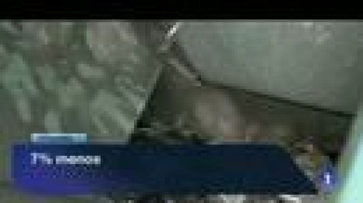 Noticias de Castilla y León - Castilla y León en 2' - 25/11/13