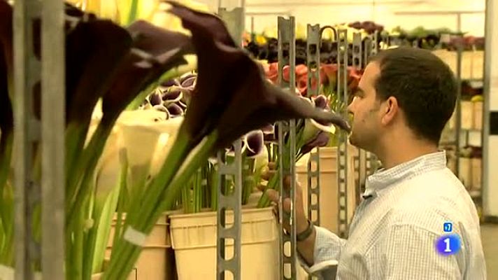 Españoles en el mundo - Vancouver - Arturo