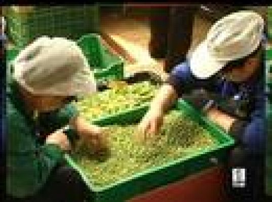  - Controles sobre la comida en Pekín