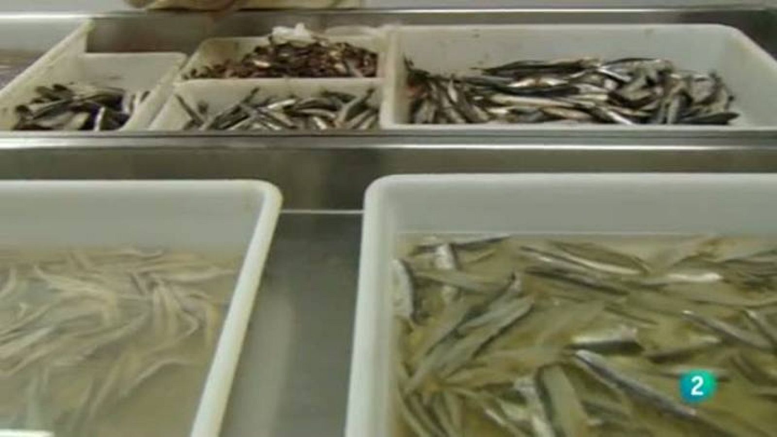 Para Todos La 2 - Nutrición - Las conservas