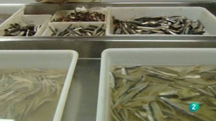 Para todos La 2 - Nutrición - Las conservas