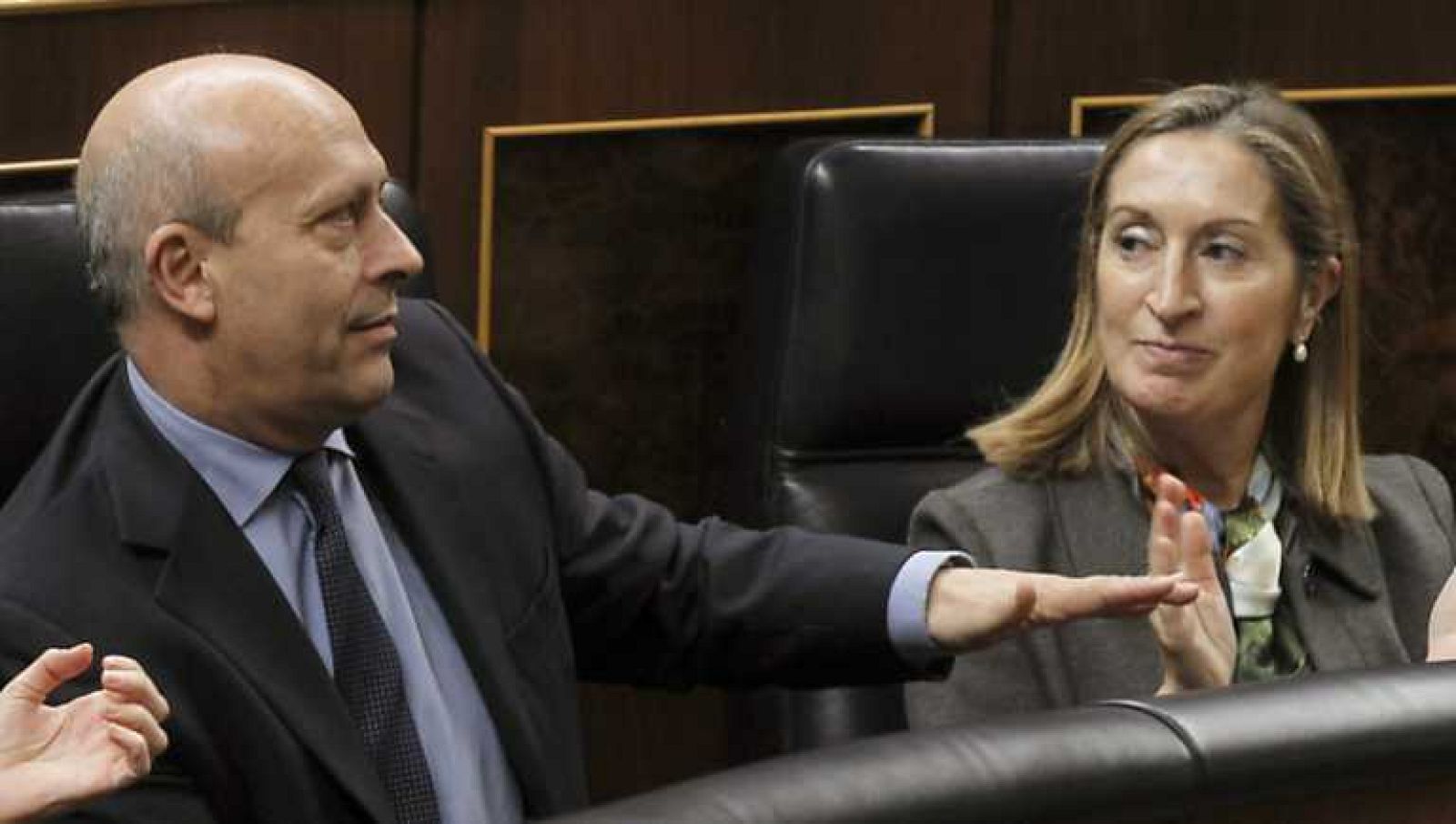 La tarde en 24 horas - Bloque 17 h. - 28/11/13 - Ver ahora