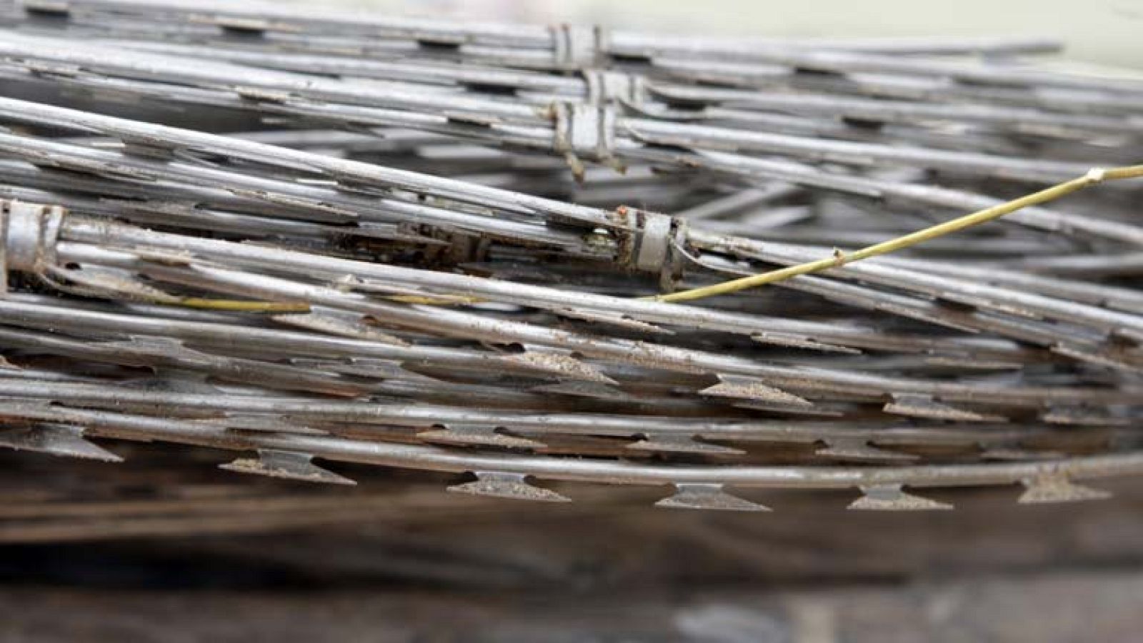 Noticias de Ceuta -  29/11/13