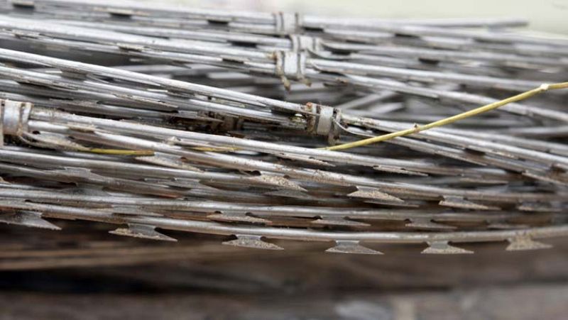 Noticias de Ceuta -  29/11/13