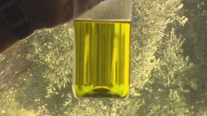 Endurecer la lucha contra el fraude en el aceite de oliva