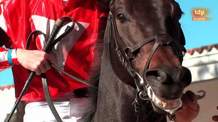 Turf - Turf - 01/12/13