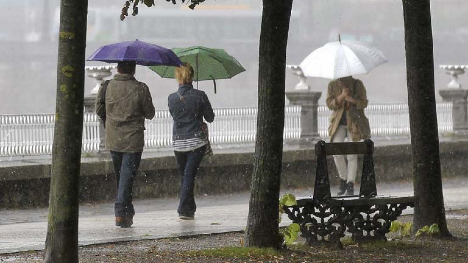 El tiempo: Lluvias fuertes en Canarias y subida de las temperaturas en el norte | RTVE Play