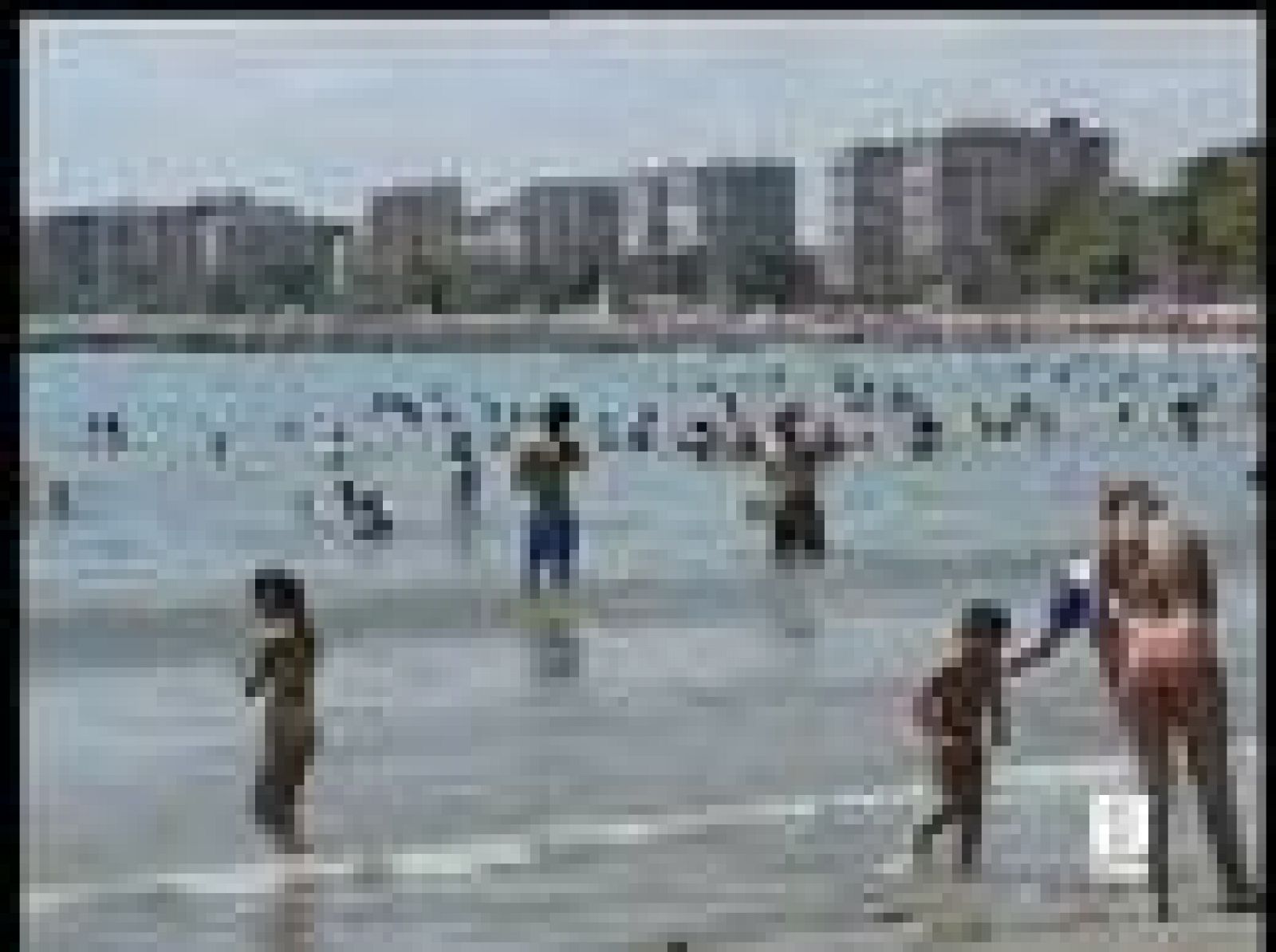 Primera jornada del FIB 2008 | Ver