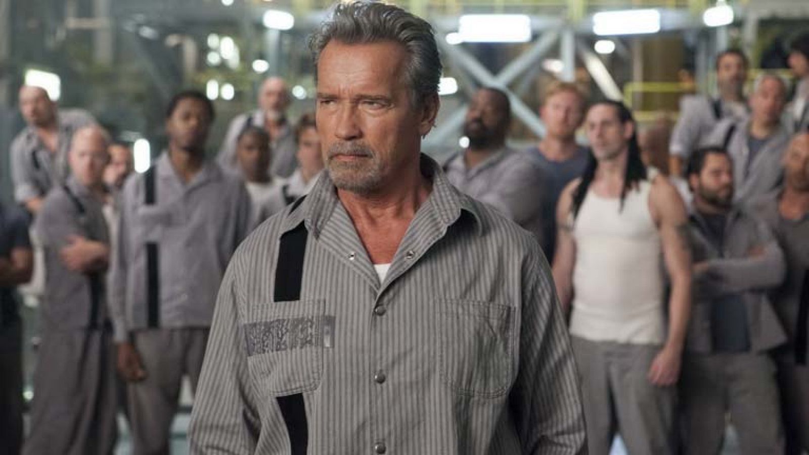 Cultura en Rtve.es: Arnold Schwarzenegger: "Stallone y yo mostramos en 'Plan de escape' un lado interpretativo que jamás se ha visto" | RTVE Play