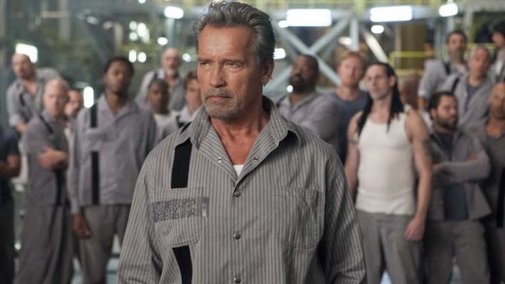 Arnold Schwarzenegger: "Stallone y yo mostramos en 'Plan de escape' un lado interpretativo que jamás se ha visto"