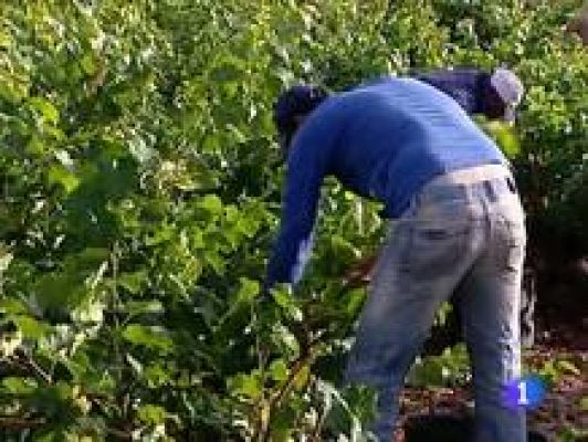 Informativo Telerioja - Informativo Telerioja 2 03/12/13