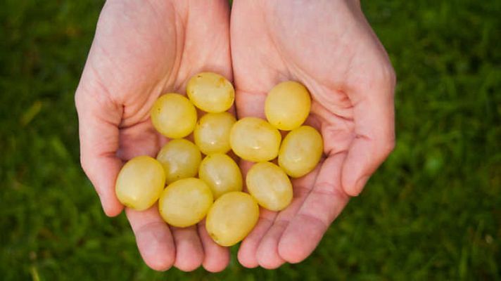 Comando Actualidad - Ventas a lo grande