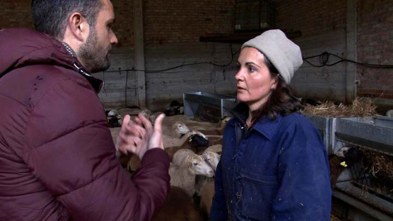 Comando actualidad - Ventas a lo grande - Cordero Chamarito, Logroño